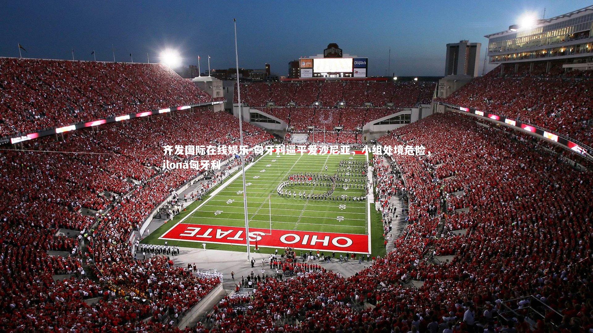 匈牙利逼平爱沙尼亚，小组处境危险，ilona匈牙利